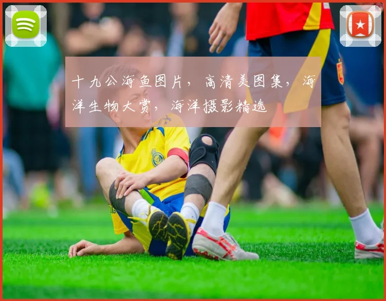 十九公海鱼图片，高清美图集，海洋生物大赏，海洋摄影精选