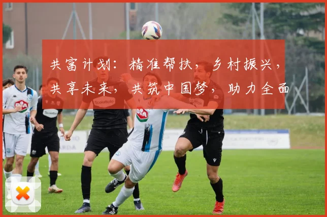 共富计划：精准帮扶，乡村振兴，共享未来，共筑中国梦，助力全面小康。