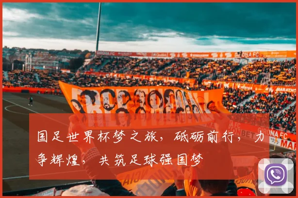 国足世界杯梦之旅，砥砺前行，力争辉煌，共筑足球强国梦