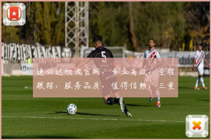 速必达物流官网，专业高效，全程跟踪，服务品质，值得信赖，三重保障，您的物流首选