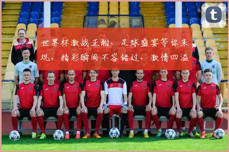 世界杯激战正酣，足球盛宴等你来观，精彩瞬间不容错过，激情四溢的绿茵战场